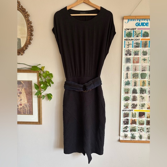 cokluch Dresses & Skirts - Cokluch Made in Canada Moonrise Kingdom Open Back Mini Dress, size medium